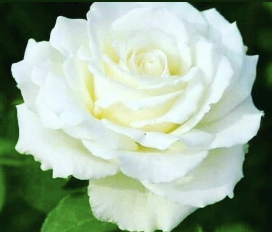 azul (@vicky_zarazua) on Twitter photo <a href="/mukesh30singh/">Mukeshkumarsingh</a> <a href="/heroldbarton/">herold barton</a> <a href="/JadavRashmin/">𝑹𝒂𝒔𝒉𝒎𝒊𝒏 𝑱𝒂𝒅𝒂𝒗</a> <a href="/x2w4m6r8/">لوردxw4</a> <a href="/RasnawatiR/">Rasnawati R 🇮🇩</a> <a href="/Mosaad03/">مُسعَد</a> <a href="/7MXgc4Z9ikksZu1/">RK LATHIYA</a> <a href="/lob_lily/">Lily</a> <a href="/stradagangelica/">🇧🇷Angelica Gallegos S 🇧🇷</a> <a href="/aitken_alistair/">Alistair aitken</a> <a href="/VipEurope5/">1</a> <a href="/henrirousseau12/">Henri Rousseau Lemery</a> <a href="/TaposKumarBasu/">⭐✳️🇮🇳तापोस🇮🇳✳️⭐</a> <a href="/Kamel11821020/">Kamil</a> <a href="/AboodMo23548664/">Abood Mohamed</a> <a href="/jet_new/">ⓙⓝ ʝɛt_ռɛա</a> <a href="/Gnanase34995362/">Gnanasekar</a> <a href="/LFSRS/">Luciano</a> <a href="/LevykinV/">Левыкин Вячеслав</a> <a href="/m_studart/">Carolina Studart</a> <a href="/r95731/">💓 s a R a v 💓 🇮🇳मेरा भारत महान🇮🇳 🥰100 K+🥰</a> <a href="/andrea_ilrga/">Victoria 💯pre Ricaurte ciudadana 🌎 #Quito</a> <a href="/marinavibu609g/">🌻MARINA🌻</a> <a href="/SweetLanaDRey/">NOT NADIA</a> <a href="/Hirokilove12287/">🦋👑NUAZ ω👑</a> <a href="/yianniseinstein/">Yiannis Einstein-Ιωάννης Αρβανιτάκης</a> <a href="/cory830/">corey</a> <a href="/HumbleIndian/">Vivek Hindustani</a> <a href="/BrownieJohnston/">brownie johnston</a> <a href="/cheryllyndunn/">CHERYL E.</a> @zafarbilalnadee <a href="/mamanina736/">Alejandra</a> <a href="/pepopep65116506/">pepo pepo ابو احمد</a> <a href="/SusanG7110/">Susan Garcia</a> <a href="/mariann95198064/">marianito</a> <a href="/saulastam/">Sastam_25</a> <a href="/MistressTepco/">꧁スカーレット緋色꧂36K🦩</a> <a href="/WHIKLI/">WlHIKLİ♥️taner♥️🌹☀⭐🌞🌟🎆💯</a> <a href="/hamoo5000/">hamo</a> <a href="/Lee888123/">Lee</a> <a href="/Rk64093801/">Ramesh lathiya (RK PATEL)</a> <a href="/JohnKish20/">John Kish</a> <a href="/noornoo77056192/">🍁N🍁N00R🍁The lover</a> <a href="/ZEYNAZERDA/">ZEYNEB MELİSSA</a> <a href="/WALLI27/">Jhon f perez🎶🎸🚵☯</a> <a href="/byashkaa/">Миник</a> <a href="/PapaPorter1/">Stephen G Porter</a> <a href="/ANGELA25G70/">@AngelaSavino</a> <a href="/gumber_kumar/">RAKESH KUMAR GUMBER</a> Hola saludos cordiales mukes gracias 💋💋💙 <a href="/mukesh30singh/">Mukeshkumarsingh</a> <a href="/heroldbarton/">herold barton</a> <a href="/JadavRashmin/">𝑹𝒂𝒔𝒉𝒎𝒊𝒏 𝑱𝒂𝒅𝒂𝒗</a> <a href="/x2w4m6r8/">لوردxw4</a> <a href="/RasnawatiR/">Rasnawati R 🇮🇩</a> <a href="/Mosaad03/">مُسعَد</a> <a href="/7MXgc4Z9ikksZu1/">RK LATHIYA</a> <a href="/lob_lily/">Lily</a> <a href="/stradagangelica/">🇧🇷Angelica Gallegos S 🇧🇷</a> <a href="/aitken_alistair/">Alistair aitken</a> <a href="/VipEurope5/">1</a> <a href="/henrirousseau12/">Henri Rousseau Lemery</a> <a href="/TaposKumarBasu/">⭐✳️🇮🇳तापोस🇮🇳✳️⭐</a> <a href="/Kamel11821020/">Kamil</a> <a href="/AboodMo23548664/">Abood Mohamed</a> <a href="/jet_new/">ⓙⓝ ʝɛt_ռɛա</a> <a href="/Gnanase34995362/">Gnanasekar</a> <a href="/LFSRS/">Luciano</a> <a href="/LevykinV/">Левыкин Вячеслав</a> <a href="/m_studart/">Carolina Studart</a> <a href="/r95731/">💓 s a R a v 💓 🇮🇳मेरा भारत महान🇮🇳 🥰100 K+🥰</a> <a href="/andrea_ilrga/">Victoria 💯pre Ricaurte ciudadana 🌎 #Quito</a> <a href="/marinavibu609g/">🌻MARINA🌻</a> <a href="/SweetLanaDRey/">NOT NADIA</a> <a href="/Hirokilove12287/">🦋👑NUAZ ω👑</a> <a href="/yianniseinstein/">Yiannis Einstein-Ιωάννης Αρβανιτάκης</a> <a href="/cory830/">corey</a> <a href="/HumbleIndian/">Vivek Hindustani</a> <a href="/BrownieJohnston/">brownie johnston</a> <a href="/cheryllyndunn/">CHERYL E.</a> @zafarbilalnadee <a href="/mamanina736/">Alejandra</a> <a href="/pepopep65116506/">pepo pepo ابو احمد</a> <a href="/SusanG7110/">Susan Garcia</a> <a href="/mariann95198064/">marianito</a> <a href="/saulastam/">Sastam_25</a> <a href="/MistressTepco/">꧁スカーレット緋色꧂36K🦩</a> <a href="/WHIKLI/">WlHIKLİ♥️taner♥️🌹☀⭐🌞🌟🎆💯</a> <a href="/hamoo5000/">hamo</a> <a href="/Lee888123/">Lee</a> <a href="/Rk64093801/">Ramesh lathiya (RK PATEL)</a> <a href="/JohnKish20/">John Kish</a> <a href="/noornoo77056192/">🍁N🍁N00R🍁The lover</a> <a href="/ZEYNAZERDA/">ZEYNEB MELİSSA</a> <a href="/WALLI27/">Jhon f perez🎶🎸🚵☯</a> <a href="/byashkaa/">Миник</a> <a href="/PapaPorter1/">Stephen G Porter</a> <a href="/ANGELA25G70/">@AngelaSavino</a> <a href="/gumber_kumar/">RAKESH KUMAR GUMBER</a> Hola saludos cordiales mukes gracias 💋💋💙