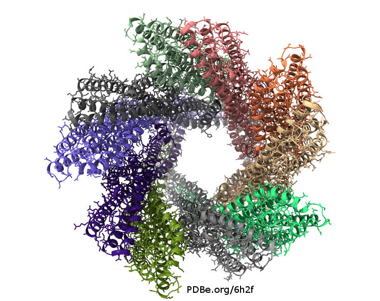 PDBeurope's tweet photo. A helical hole-punch published in @NatureComms by @SheffieldMBB, @MbbXray and @xray_claud is one of the new structures in the PDB today at https://t.co/54E03LeH5m https://t.co/nZxbzTh8W4