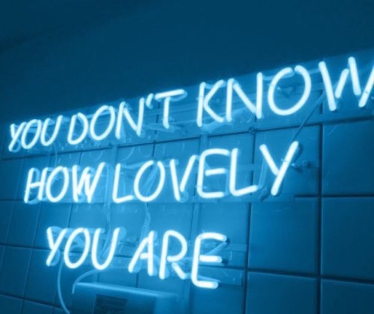 yourselfcaread1's tweet photo. Aesthetic Wallpapers 🐬 Follow @yourselfcareaddict on IG for more!! https://t.co/eG6PAeDTLq
