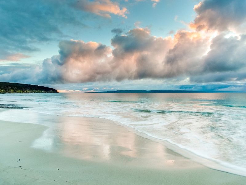 CommissionerKI's tweet photo. E-News - WINTER 2019 Office of the Commissioner for Kangaroo Island - https://t.co/DDBSFvIGYh https://t.co/bztctzoLEG