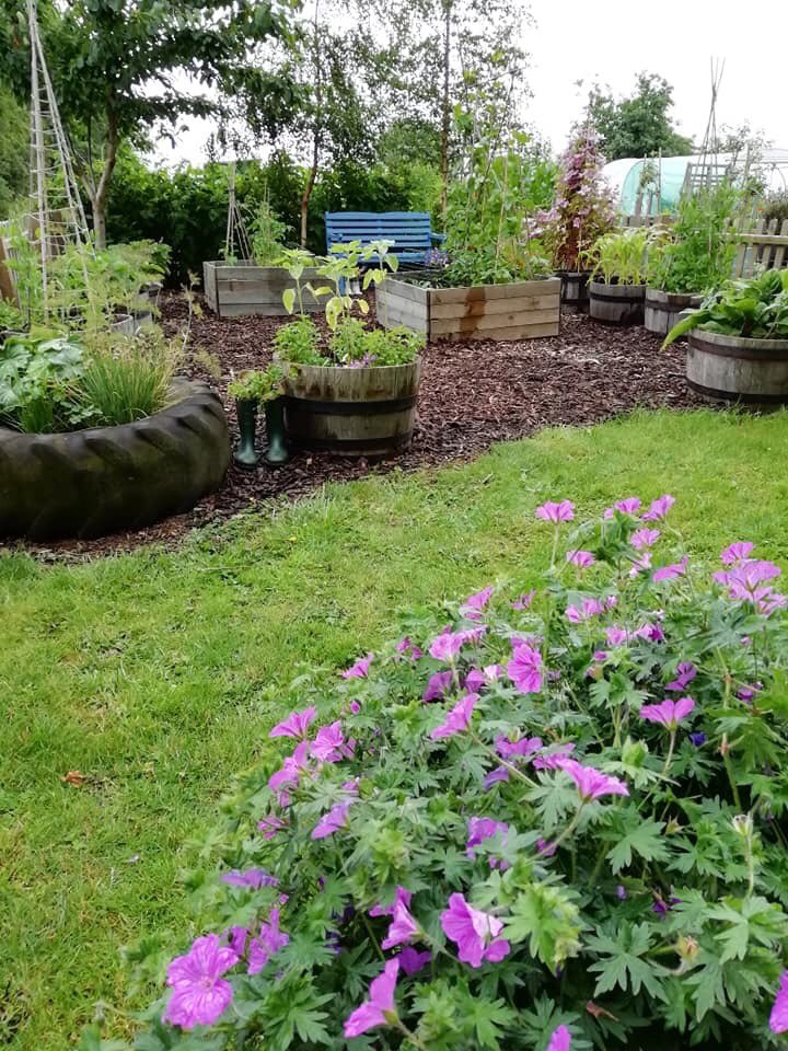 GHRRutland's tweet photo. Today is judging day for @Uppinghambloom good luck to all the volunteers and @UppinghamSchool Gardens Department who support them, and to @TheFalconHotel Hotel who's garden is also in the competition! #EastMidlandsInBloom https://t.co/J5tTELbNRq