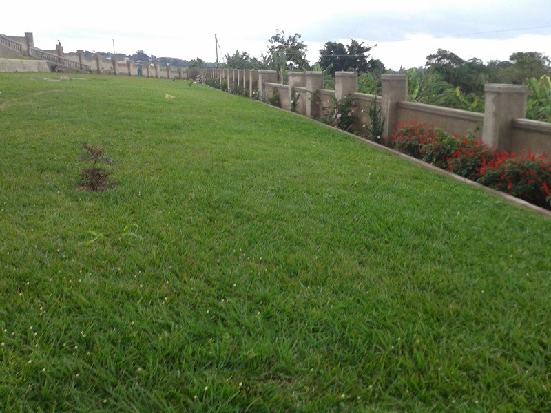 Passionsltd's tweet photo. Compound design is the foundation of any great landscape. What does your dream garden look like? Allow us Make that dream a reality with compound design secrets.

Reach us on 0782451967 or 0754 451 967  https://t.co/mnMBmWK7md
#compounddesign #landscapping #Construction #Homes https://t.co/8Leyw3xeqN