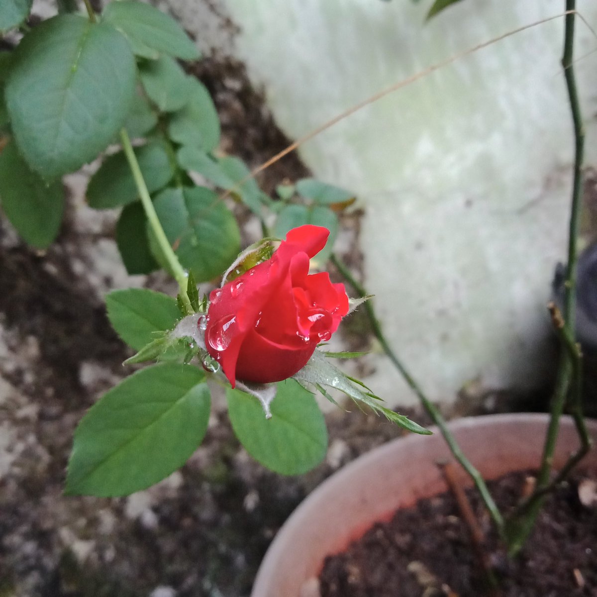 Alhamdulillah Allah hadirkan lagi