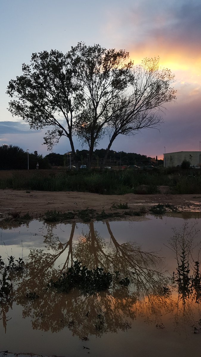 GispertJulia's tweet photo. Posta de sol després de la tempesta d'ahir.
#Blanes #CostaBrava #postadesol #sunset #pluja #rain #324eltemps #gemmapuigf #nofilters #reflex https://t.co/sJe5z6pHrc