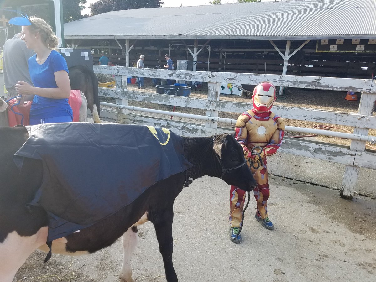 Cow costume #mini4H #superheroes #mickeyandminniemouse