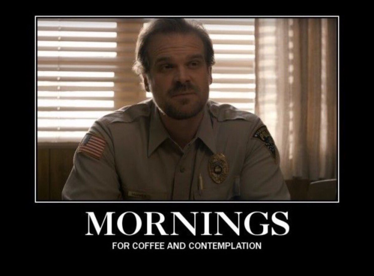 Hopper had the right idea #strangerthings #authorlife