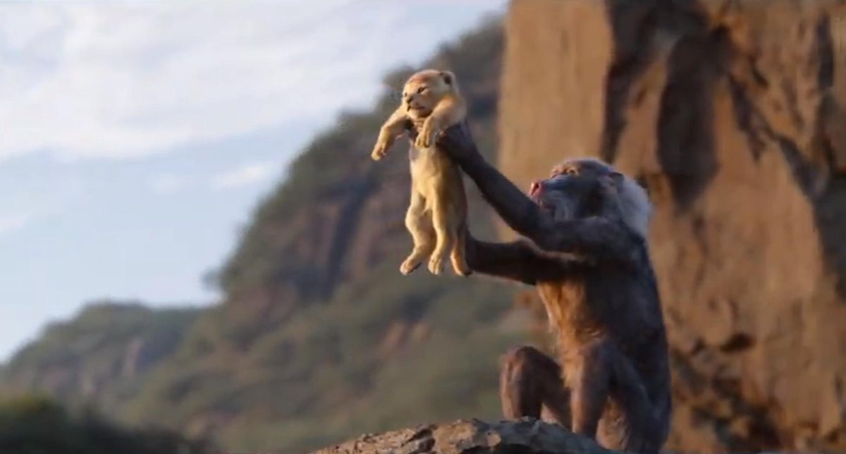 you tube lion king circle of life you tube lion king circle of life
