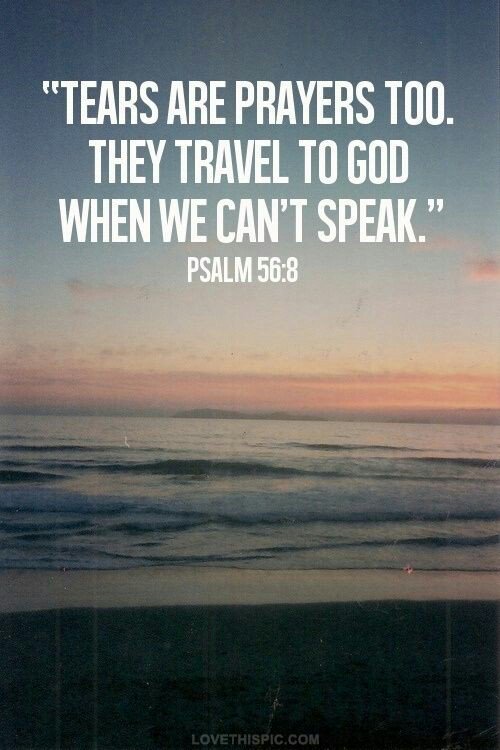 Godsgirl158's tweet photo. RED TSUNAMI COMING 

Patriot List 3  7-9
@Lastcaress23
@kathy4united
@glo4itnow 
@lindyqb5
@46laurie
@hoppinmama
@teledude54
@Godsgirl158 
@mmoise3
@rdrhwke 
@Califcntry
@cindy_nurse 
@Terrbear4
@DallasBrownin16 
@JackGaglio
@James7303 
@jmasr1970
@Jjredwave1 
@CharlesTracyMo1 https://t.co/BAQ7sprDIE