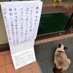 もしかして店長の生き写し・・？コンビニ前で動かないネコｗ