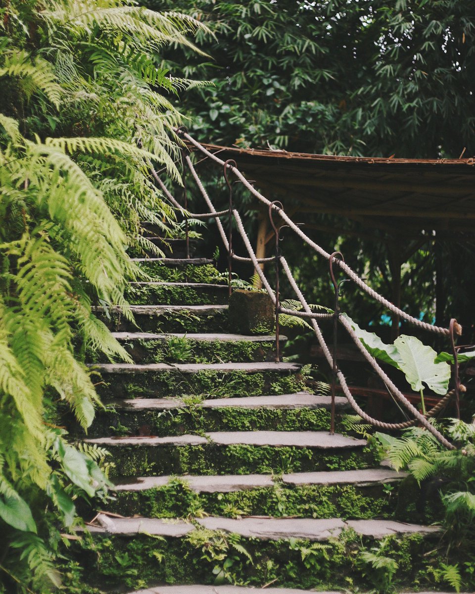 WIEF_Foundation's tweet photo. “Sustainable development is development that meets the needs of the present, without compromising the ability of future generations to meet their own needs.” Brundtland Commission, 1987 report “Our Common Future”. https://t.co/MpIvb1phD1 in #WIEFInFocus.
Photo by Unsplash https://t.co/CqKV5zTxHP