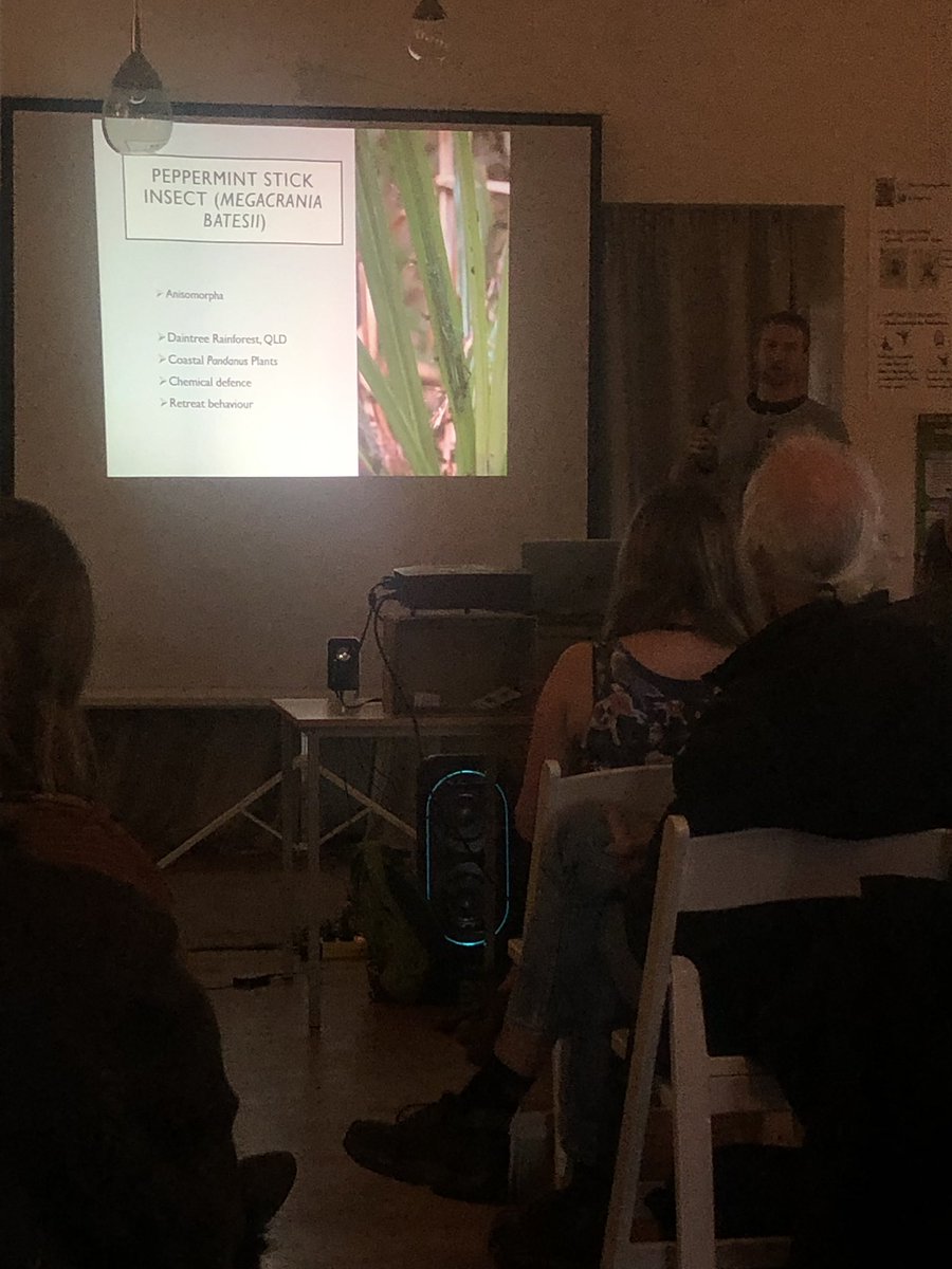 kateumbers's tweet photo. Anti predator decision making in prey! When should a peppermint stick insect choose to spray? @StickmanBraxton has some ideas for us. #ASSAB2019 #DontEatMe https://t.co/l6oD1ZWUSc