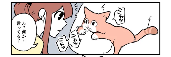 今夜19時頃にモフ田くんの新しい漫画をアップします〜?☺️

コマちゃんはなんて言ってるんでしょうね〜？ 
