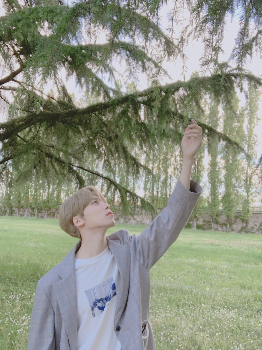 official_ONEUS's tweet photo. [#건희DAY🌲]

먹는 거 아니에오🍃
이 정도면 약간 바탕화면.jpg https://t.co/z5kV2kB4SS