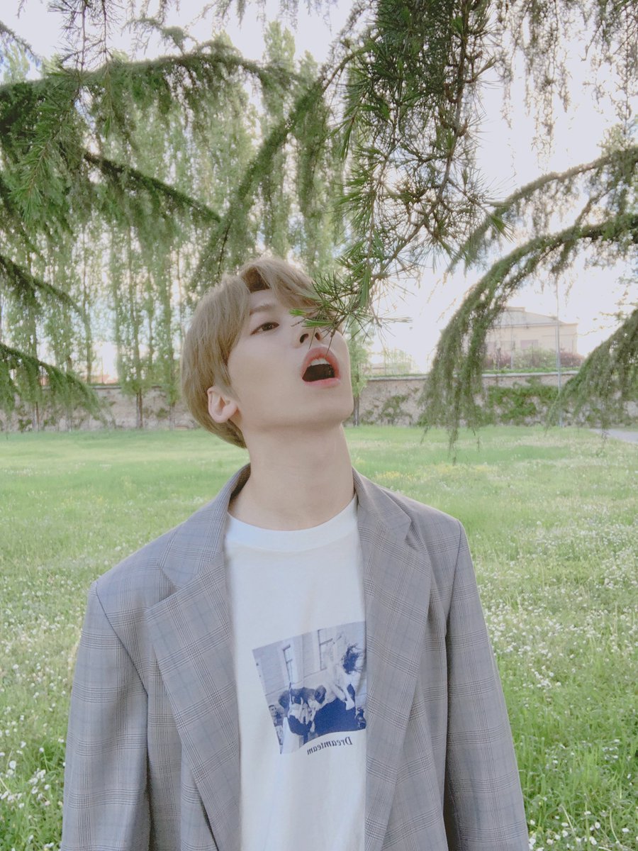 official_ONEUS's tweet photo. [#건희DAY🌲]

먹는 거 아니에오🍃
이 정도면 약간 바탕화면.jpg https://t.co/z5kV2kB4SS