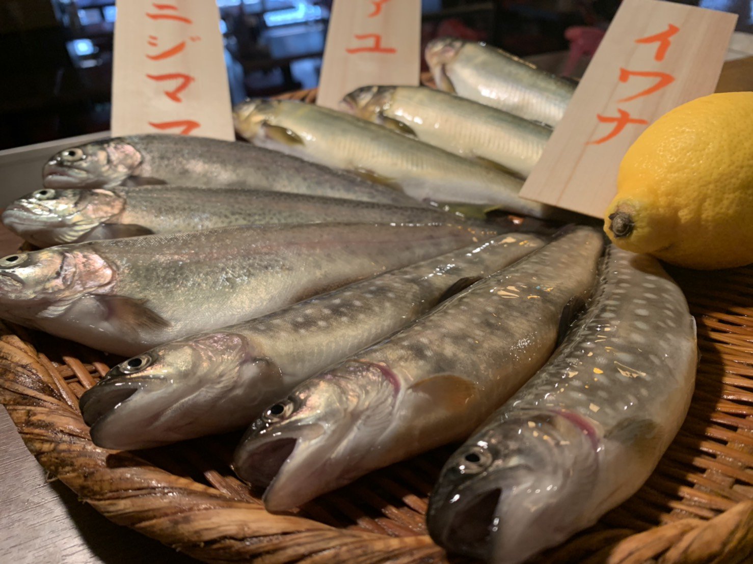 海鮮大衆酒場うごう 今日は川魚フェアでイワナ アユ ニジマス入って来ました 海鮮といえば海の魚ですが今日は川の魚です 天ぷらや塩焼き イワナは岩手の清流育ちなので刺身もいけます 今日は他にもアジやイワシがおすすめなので 海水魚と淡水魚の