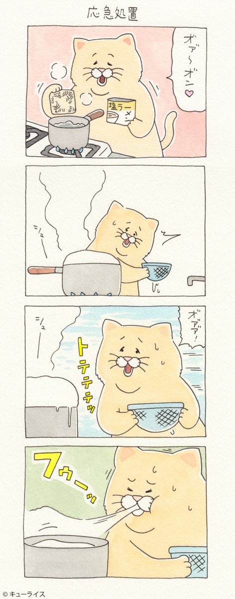 4コマ漫画ネコノヒー「応急処置」/boil over
 https://t.co/SLzQUXvU1E　　単行本「ネコノヒー3」発売中！→ 