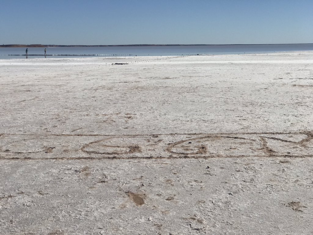 Jason Wadley tweet media