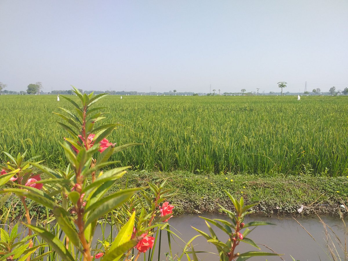 Antosepuh1's tweet photo. My village...i like this https://t.co/3LxgcSfa1z
