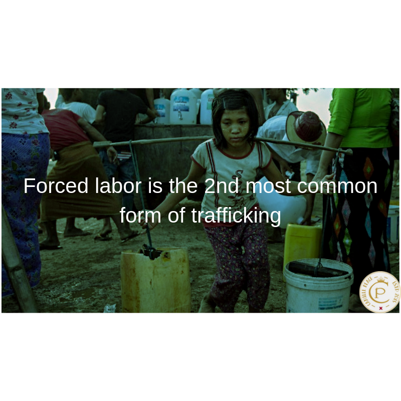 CamillePlaceAL's tweet image. The second most common form of human trafficking is forced labor at 18% of all trafficking. However, forced labor is less frequently detected and reported than trafficking for sexual exploitation.