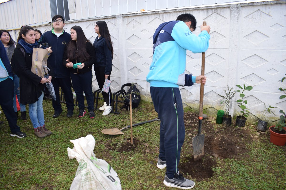 HctorQuiroz10's tweet photo. Ojo @amoarbolurbano jóvenes+pala+árbol que bonita escena https://t.co/7xrRNpEneL