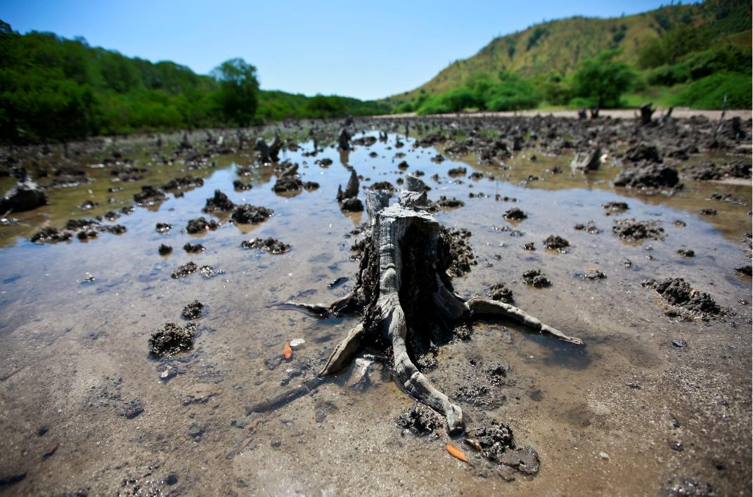 UNESCAP's tweet photo. In #AsiaPacific 50% of negative #SDG trends are related to environmental targets. A complete turnaround is needed to accelerate progress &amp; reach the targets:https://t.co/UhJP4SwTHN #HLPF https://t.co/WtwNpDHbwT