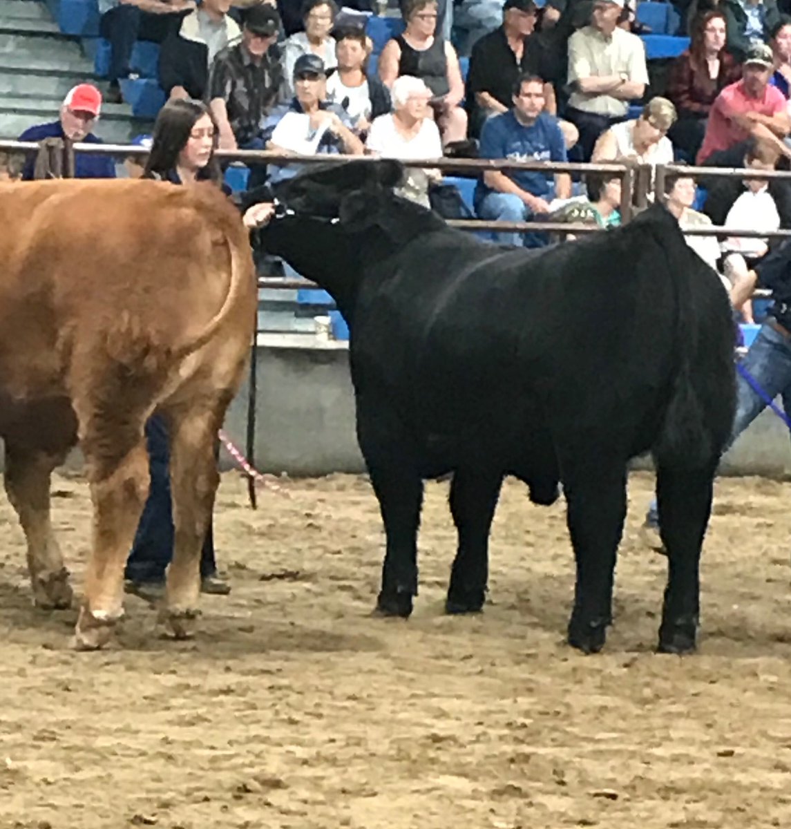 Thank you to Lost River Distillery for purchasing Callie and Lane’s 4-H steers and supporting 4-H and youth in agriculture!