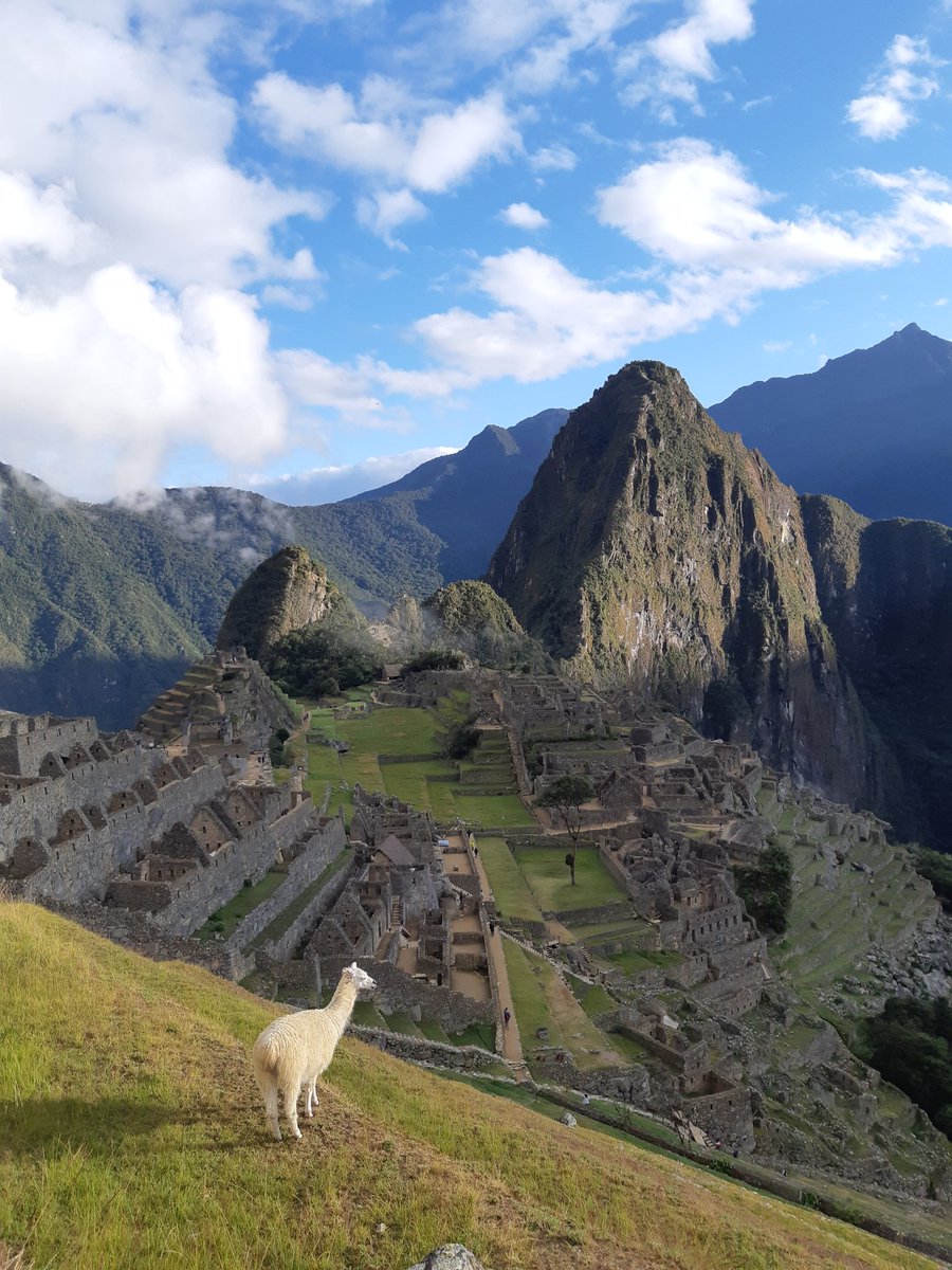 perez_nan's tweet photo. @avantrip Machu picchu https://t.co/wTb7nMkXOR