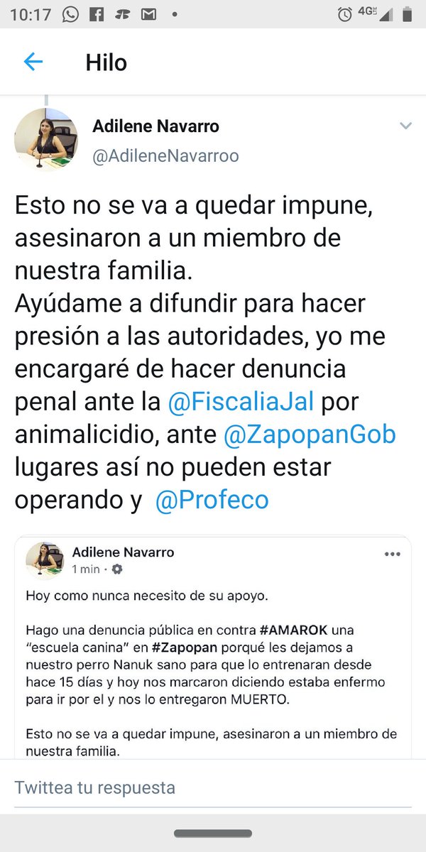 IgnacioRomero86's tweet photo. Qué tal @DrCarlosLomeli una persona de su equipo charoleando tu nombre con la autoridades para tratar de cerrar una empresa, ellos decidieron como querían que se les entregará el cuerpo del perro para armar este video de la publicación en face 1/2 https://t.co/v0f3drO26R