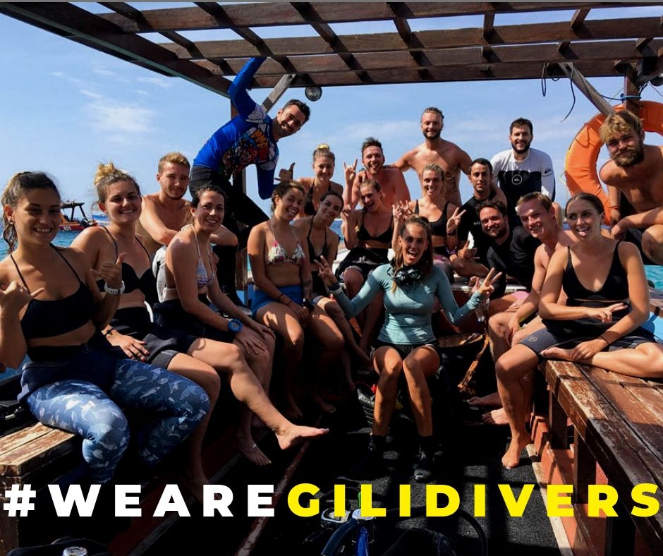 GiliDivers's tweet photo. C'mon, you know you wanna be friends with us😏

When are you coming to join the family? https://t.co/jxpfeU8in0