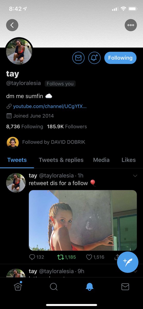 Okay so I know I don’t post much but this is a big deal for me! <a href="/tayloralesia/">tay</a> just followed me on Twitter!!! 😍😍😍