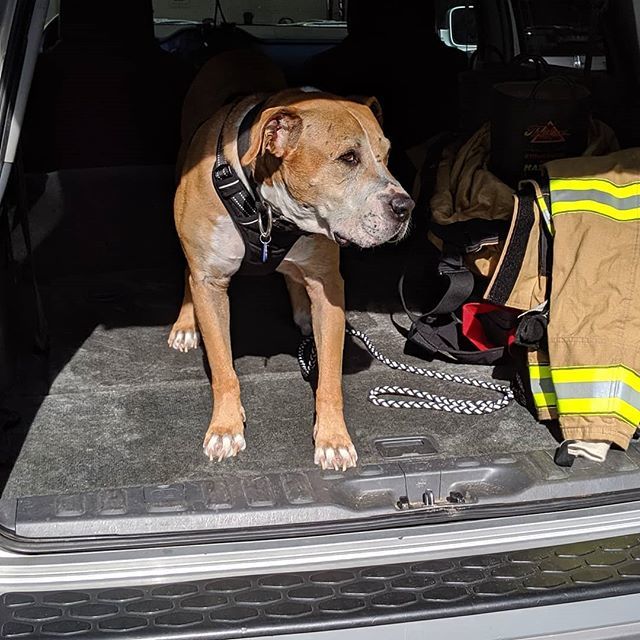 xguru4u's tweet photo. Join me in celebrating our June employee of the month, CASH. He really wowed us with his "can do" attitude. #XGURU https://t.co/yOkabPIg1X