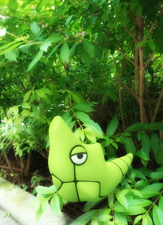 ありさ ポケモンgo Tl48 トランセル すぐ寝落ちする トランセル 得意技の 固くなるをしても やっぱり寝落ちする 愛すべきポケモン ポケモンgo ポケモンgoar写真 ポケモンgoar Gosnapshot Goスナップショット ポケモン トランセル ありがとう