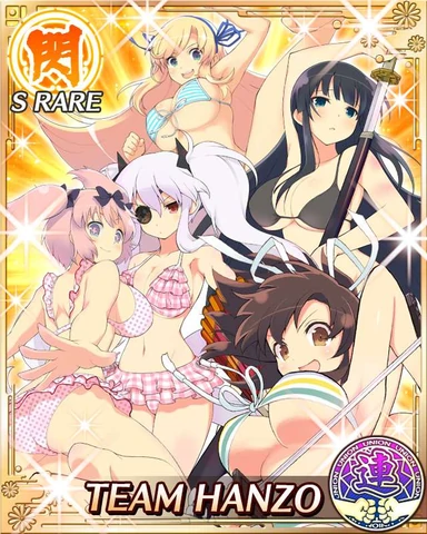 katsuraguy's tweet photo. #SenranKagura #Ikagura #TeamHanzo https://t.co/v0MMfBrdx9