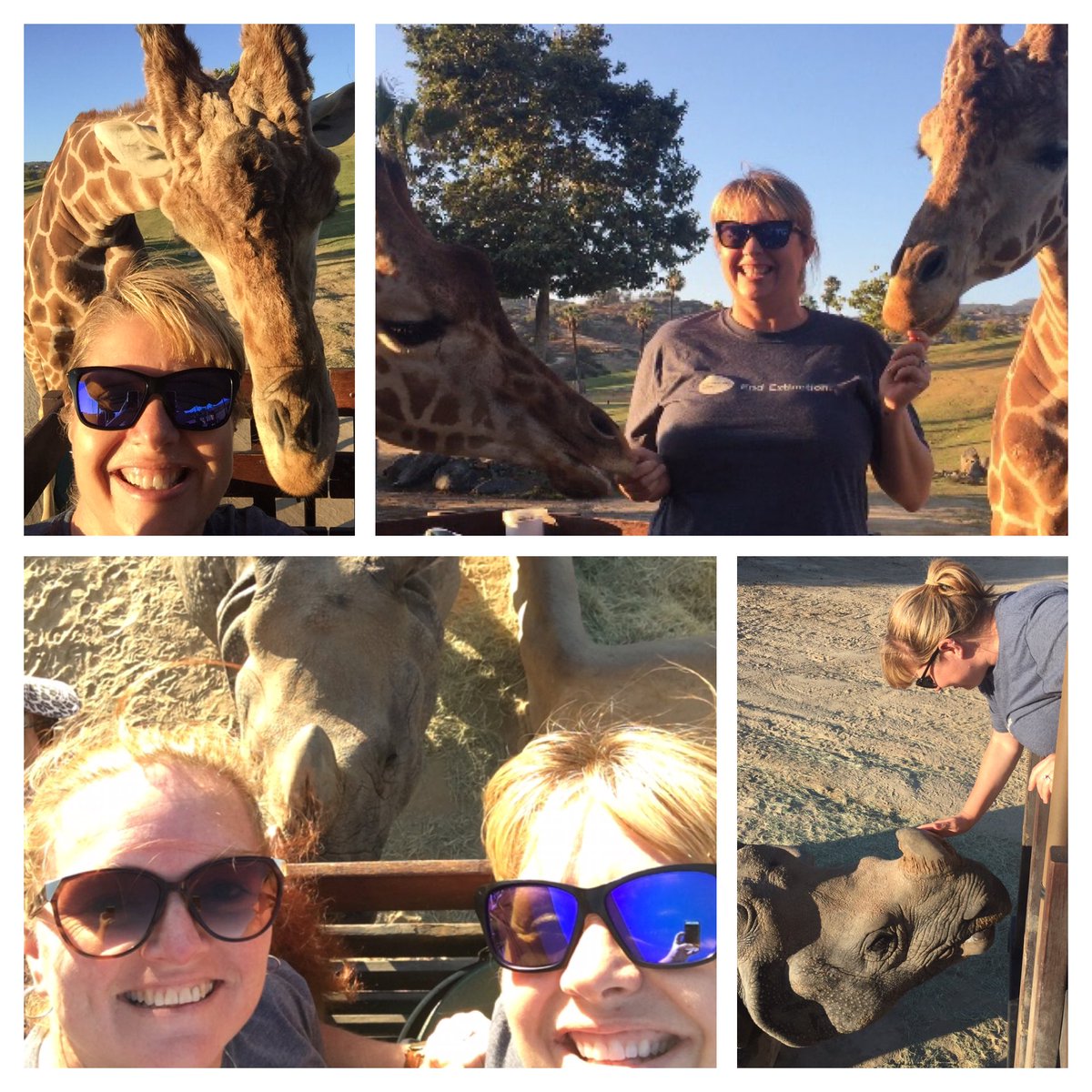 ScienceBoyster's tweet photo. Rough Day at work in the Caravan Safari. @sdzsafaripark #2019TWCS #MyActionsMatter #EndExtinction https://t.co/penEdfd0kW