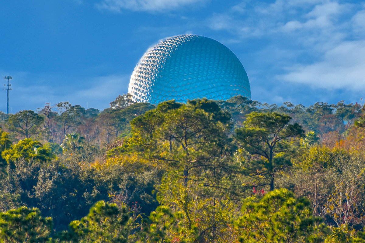 nypost's tweet photo. Cops warn animals at Disney World may have rabies https://t.co/hekoGQPdi3 https://t.co/TiPnAKGV8B