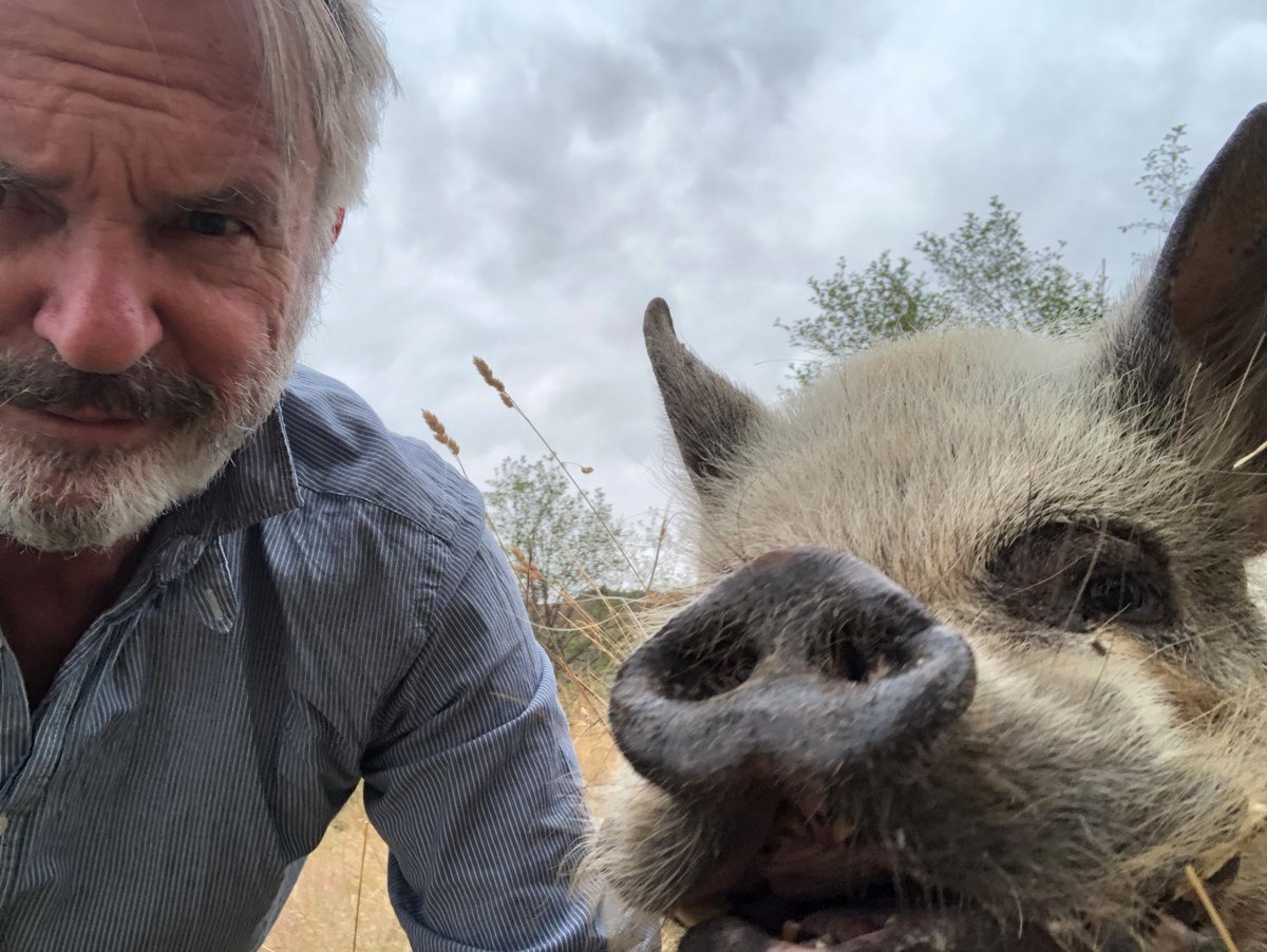 TwoPaddocks's tweet photo. My friend Angelica would like to ask you to help injured, abused or neglected animals, &amp; remember that August 5 is https://t.co/gUk0hvfNka The 11th annual SPCA Cupcake Day, raising money to help the some 41 thousand animals they care for each year #NZ #SPCANZ https://t.co/7NxjrK5V14