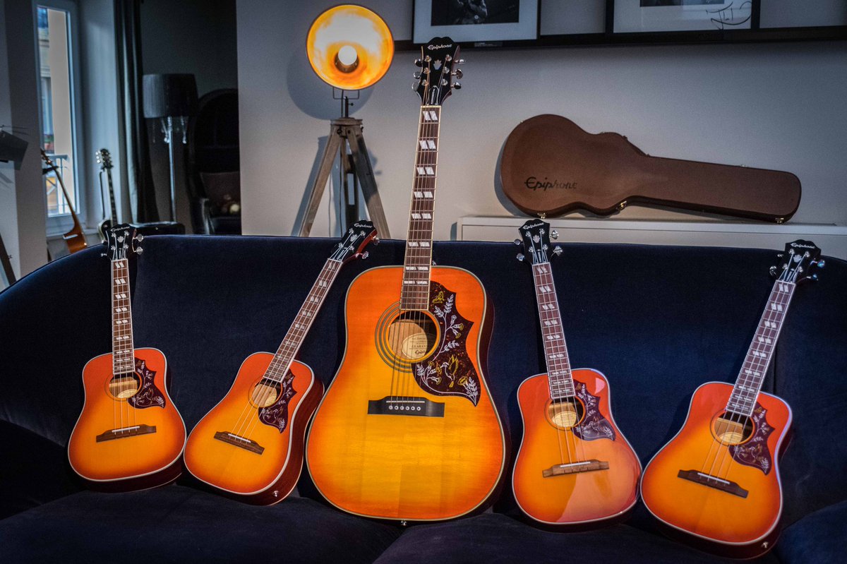 Epiphone's tweet photo. Sitting Pretty #epiphone https://t.co/alueVIsiAD