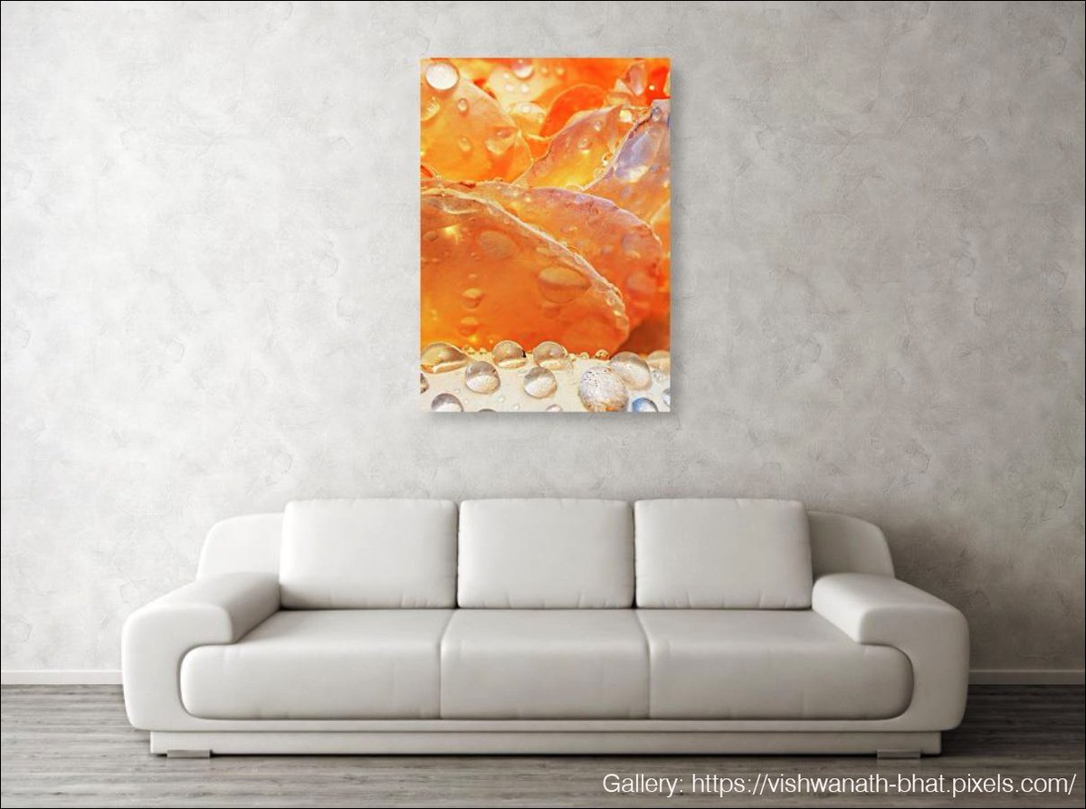 naturecomps's tweet photo. New addition to my gallery. Prints are available. Please click on the link for details: https://t.co/S44ZvOKuRU
Gallery: https://t.co/IMo2iJZJFU
#rose #dew #wallartprints #flower #nature #abstract #prints https://t.co/2UQNoAa0ui
