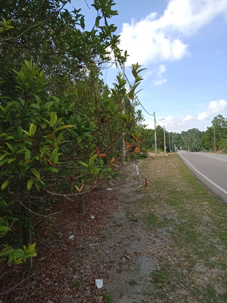 teto_eng_sb's tweet photo. kerja-kerja penyenggaraan bahu jalan di laluan Sekakap, daerah Mersing @JKRMersing
Pengguna jalan raya disarankan berhati-hati ketika memandu
#tetocare #tetoengineering https://t.co/YWmoXdO3Rp