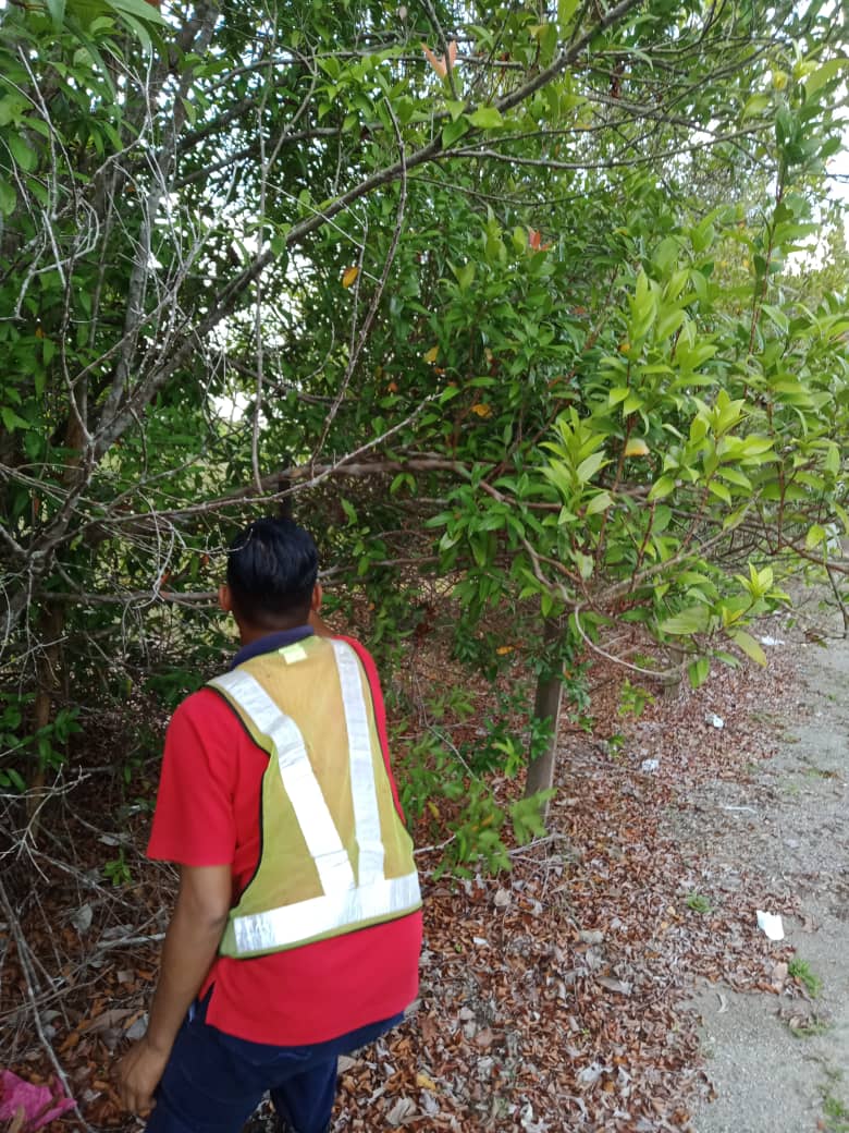 teto_eng_sb's tweet photo. kerja-kerja penyenggaraan bahu jalan di laluan Sekakap, daerah Mersing @JKRMersing
Pengguna jalan raya disarankan berhati-hati ketika memandu
#tetocare #tetoengineering https://t.co/YWmoXdO3Rp