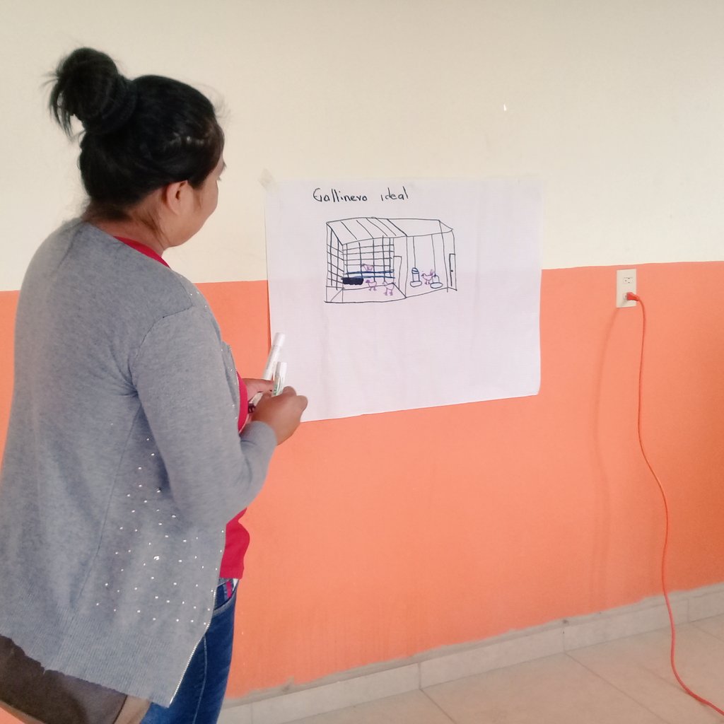 cj_juvempro's tweet photo. En #JuvemprAC estamos convencidos que mediante #HidalgoTeNutre #Ixmiquilpan mejorará sustancialmente la producción  de alimentos. Buscando contribuir a la #SeguridadAlimentaria día a día.
@Car_Muniz 
@omarfayad 
@SEDAGRO_HIDALGO 
@SEDESOHidalgo 
@FAOMexico https://t.co/o6rC39E8GR