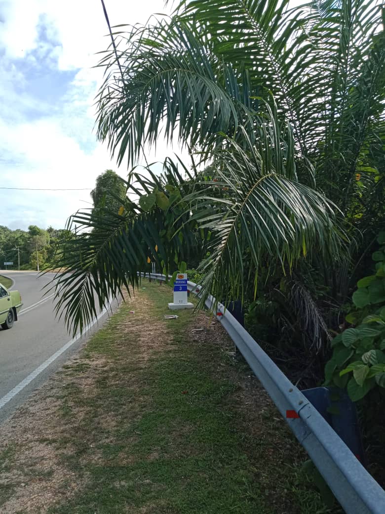 teto_eng_sb's tweet photo. kerja-kerja penyenggaraan bahu jalan di laluan Sekakap, daerah Mersing @JKRMersing
Pengguna jalan raya disarankan berhati-hati ketika memandu
#tetocare #tetoengineering https://t.co/3Gun7WDhNN