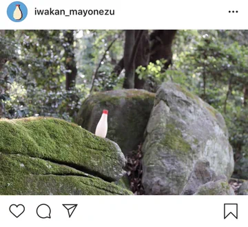 画像 / Picture