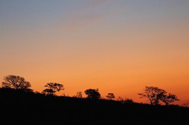 Imfolozi sunset 💛🧡💙#imfolozigamereserve #sunset #dusk #africansunset #ezemvelo #ezemvelokznwildlife #kwazulunatal #kzn #homeprovince #nature #wilderness #africanwildlife #bushveld #gamereserve  #southafricathroughmyeyes #wintersevening #southafrica #… ift.tt/32gnpTd