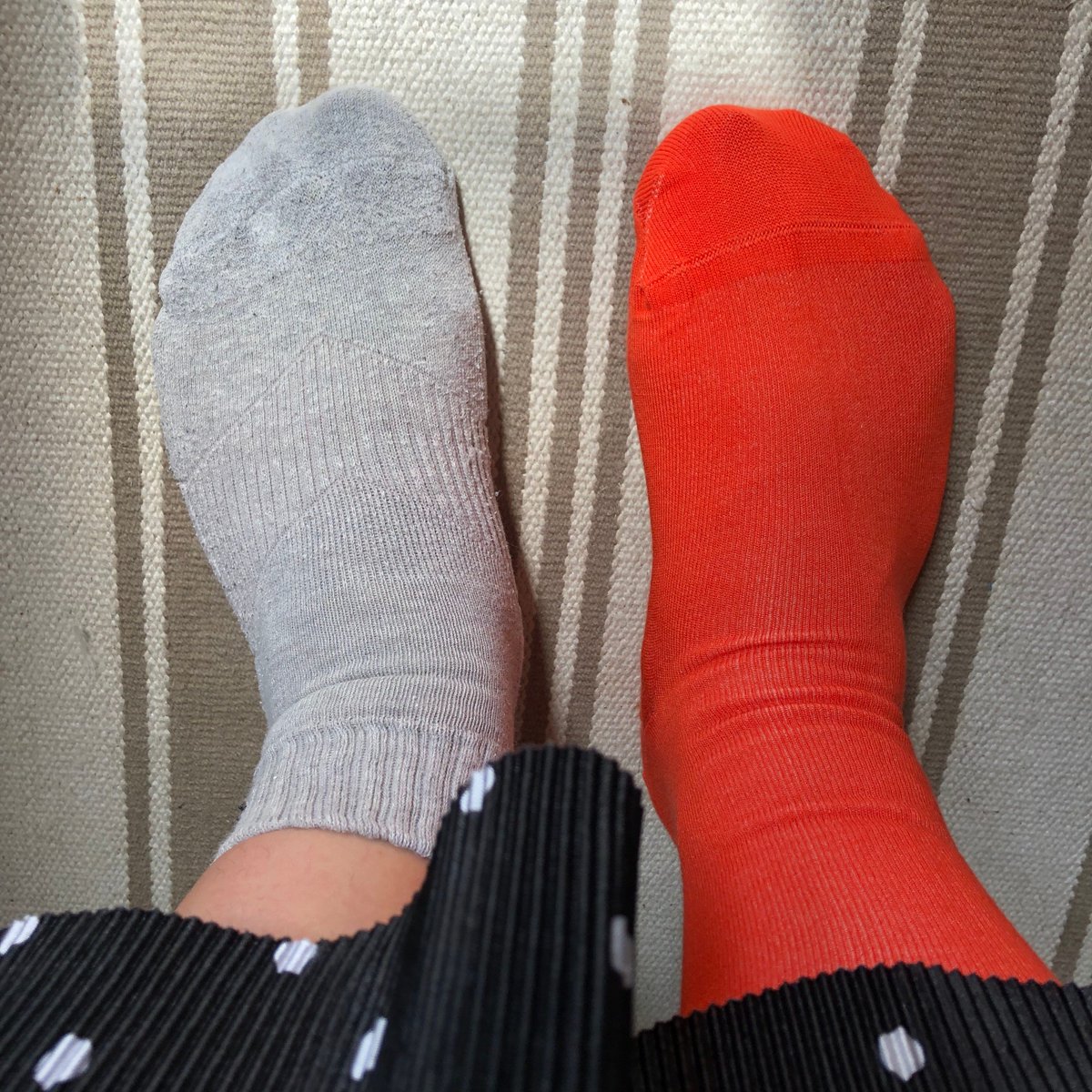 Protest Press tweet media