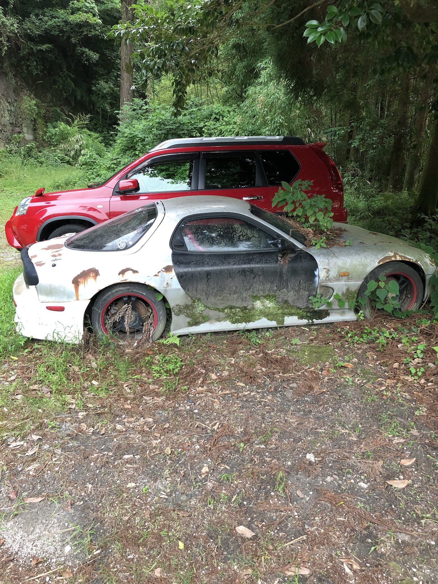 だいちゃん（キノコパイセン） on X: 