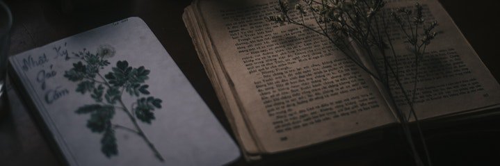 Our submissions are officially open until 30 September! Submit your manuscripts to us here: imagnaryhouse.com/pages/submissi…. We're searching particularly for fantasy and sci-fi novels! #youngadult #novels #ChildrensBooks #submissions #ImagnaryHouse #WritingCommunity #writingtips