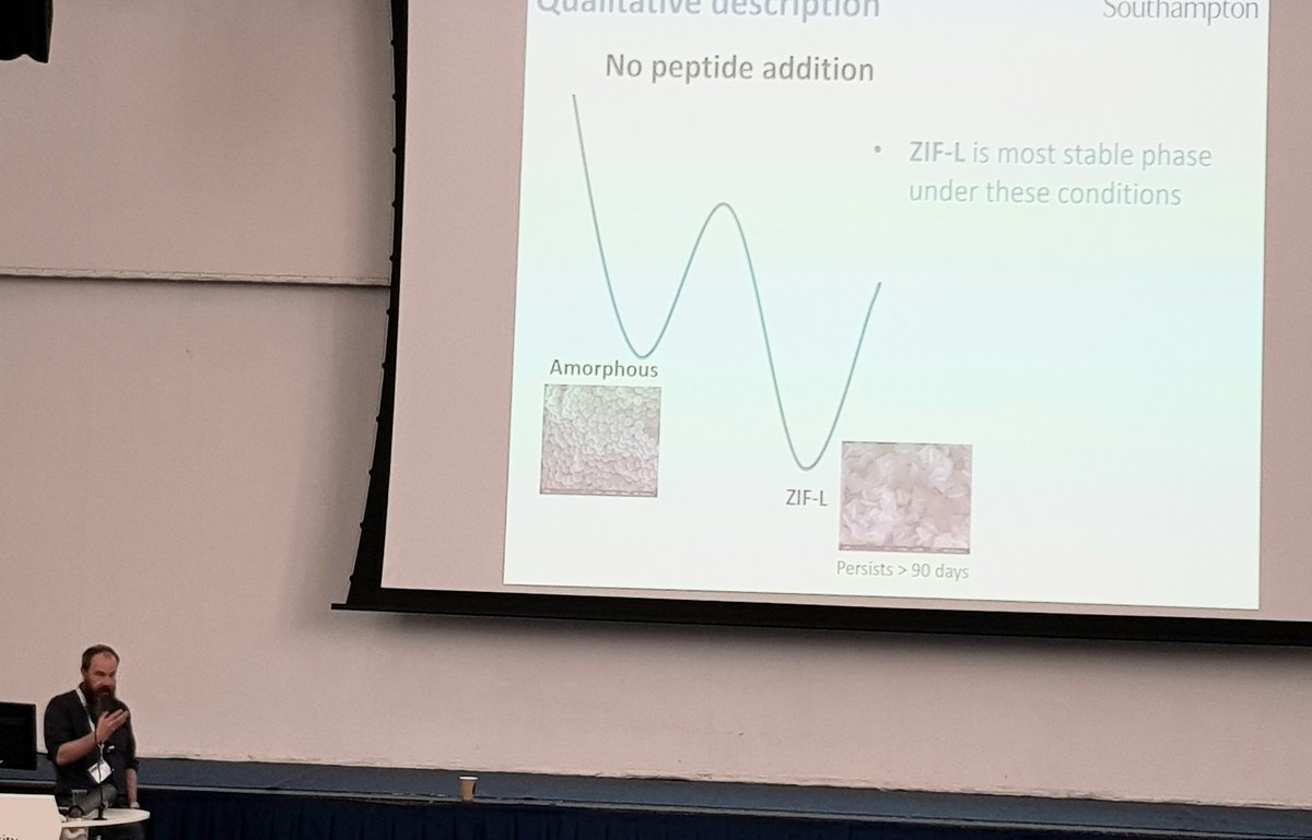 B. Albanyan tweet media