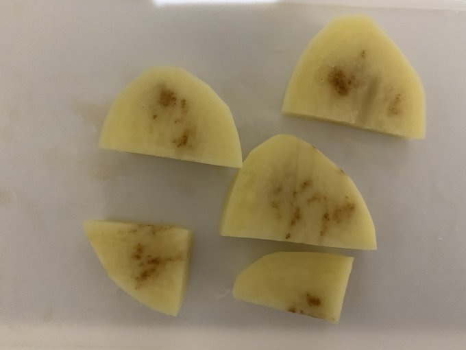 じゃがいもが腐るとどうなる 液体や変色などの見分け方と原因