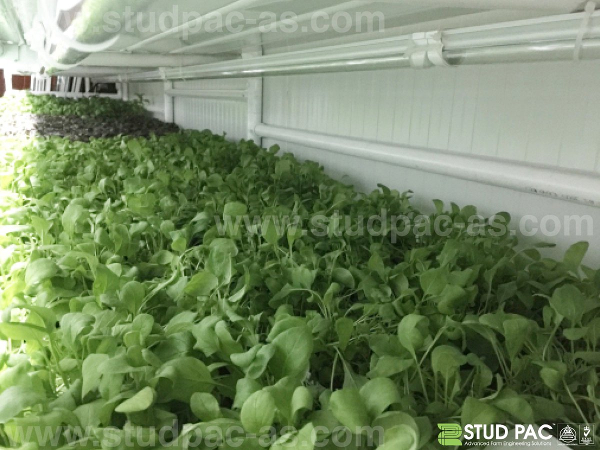 studpacas's tweet photo. Stud Pac || Advanced Farm Engineering Solutions || +971561637077 || info@studpac-as.com || https://t.co/KbVabRbnqn https://t.co/idqK4eXnG1